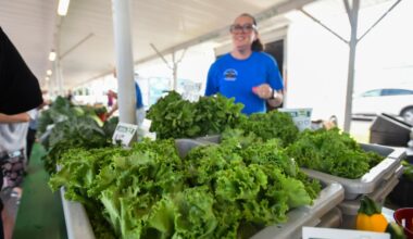 Scranton Farmers’ Market offers fresh produce, peace of mind