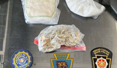 Investigators: Meth, marijuana, mushrooms seized in Newton Twp. drug bust