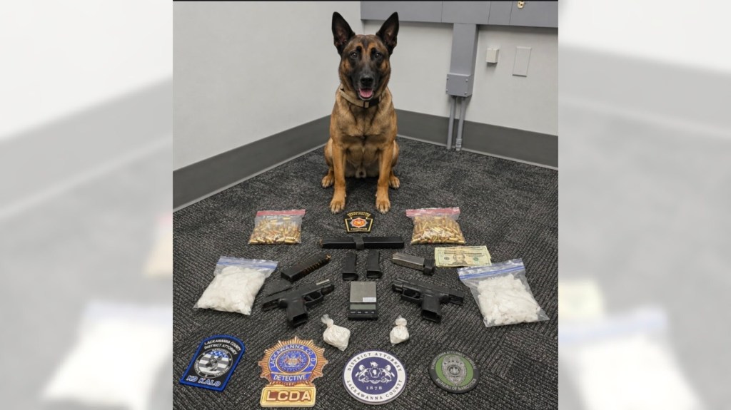 Investigators: Scranton pair found with drugs, guns and ammunition