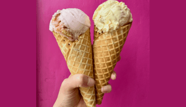 Vegan ice cream in Philadelphia worth a visit