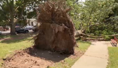 Microburst storms leave residents cleaning up days later – NBC10 Philadelphia