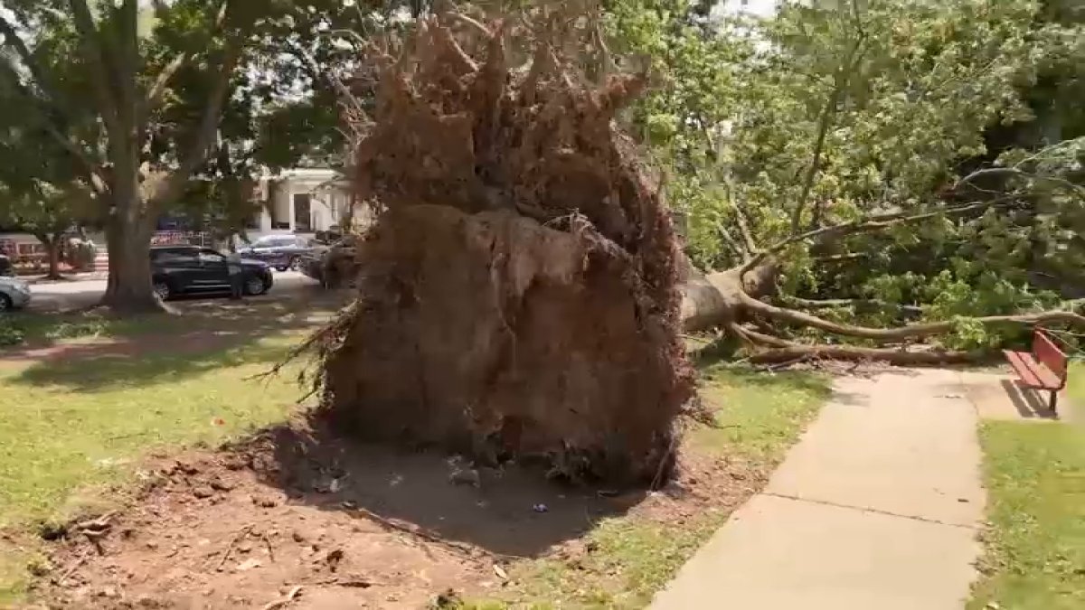 Microburst storms leave residents cleaning up days later – NBC10 Philadelphia