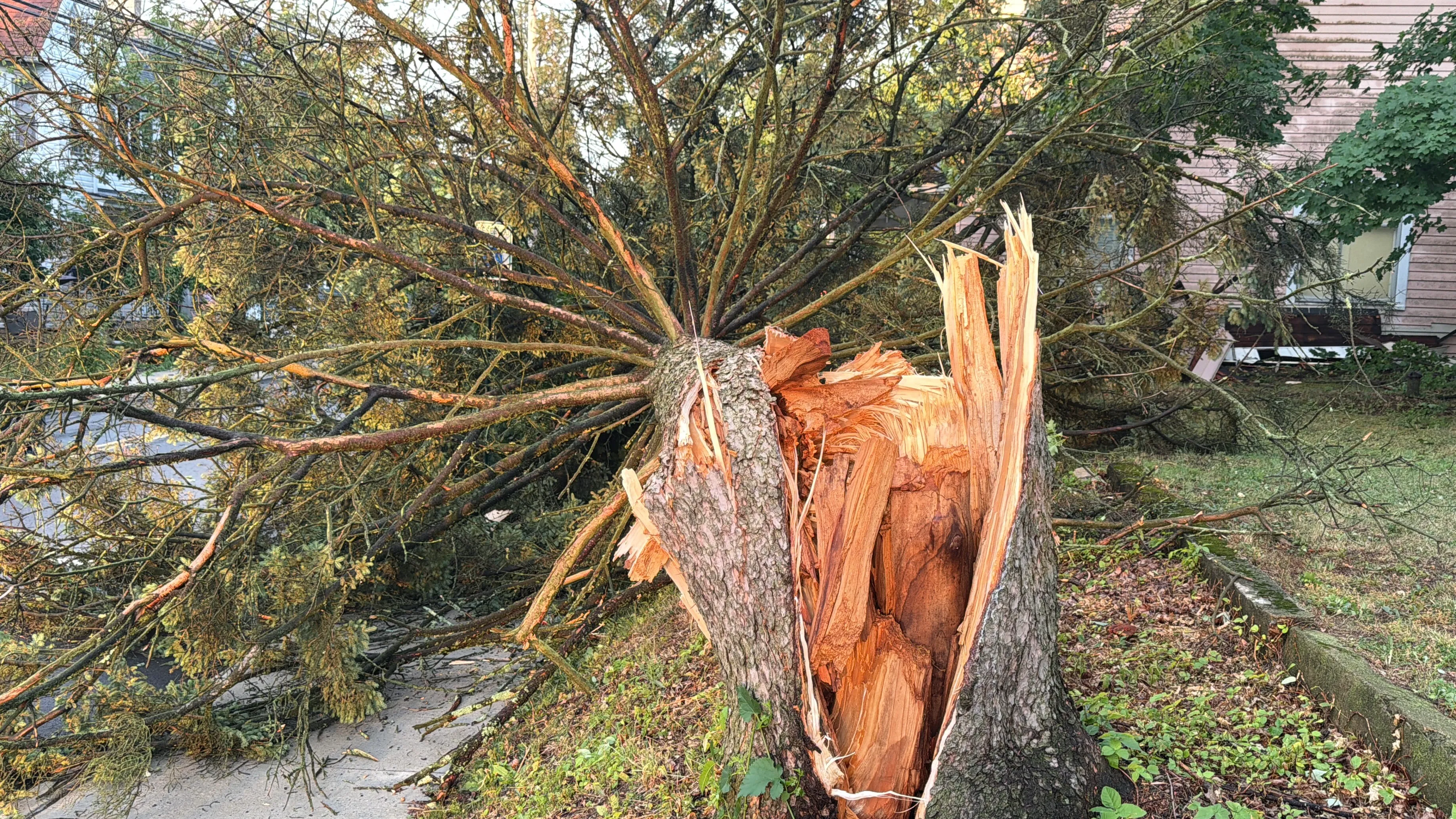 Storm damage is seen in Alburtis on Friday evening, July 3, 2026. Severe storms moved through the Lehigh Valley, cutting power to thousands amid days of extreme heat just as Fourth of July celebrations were getting started. (Rich Rolen/Special to The Morning Call)