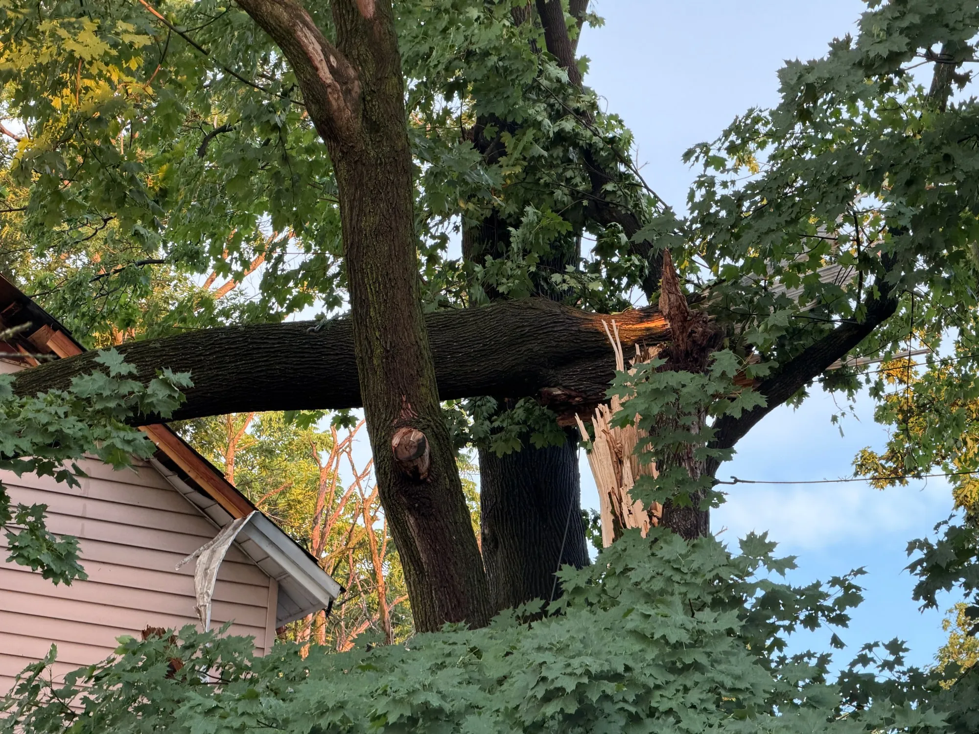 Storm damage is seen in Alburtis on Friday evening, July 3, 2026. Severe storms moved through the Lehigh Valley, cutting power to thousands amid days of extreme heat just as Fourth of July celebrations were getting started. (Rich Rolen/Special to The Morning Call)