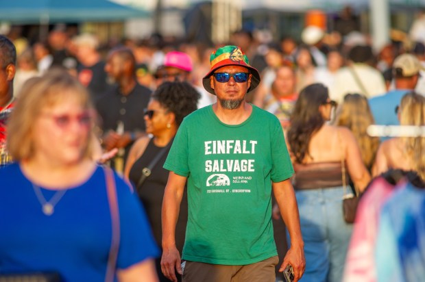 Festivalgoers enjoy the sights and sounds of the One Earth Festival Global Music and Culture Festival at SteelStacks on Saturday July 11 2026. The fifth annual festival, presented by ArtsQuest in partnership with Movement Moves Media, celebrates global music, culture and community. (Jonathan Broady/Special to The Morning Call)