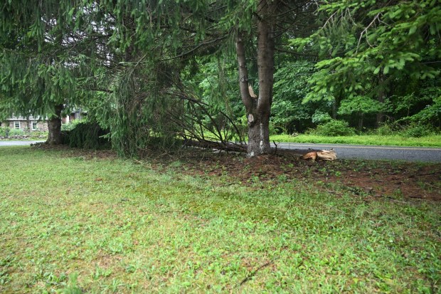 Trees lie overturned Tuesday, July 7, 2026, near Victory Valley Camp in Upper Milford Township. Storms that hit the Lehigh Valley over the weekend caused road closures and electricity outages throughout the region. Utilities said it could take until Thursday to fully restore power. (Jon Chiu/The Morning Call)