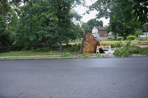 Trees lie overturned Tuesday, July 7, 2026, in Alburtis. Storms that hit the Lehigh Valley over the weekend caused road closures and electricity outages throughout the region. Utilities said it could take until Thursday to fully restore power. (Jon Chiu/The Morning Call)