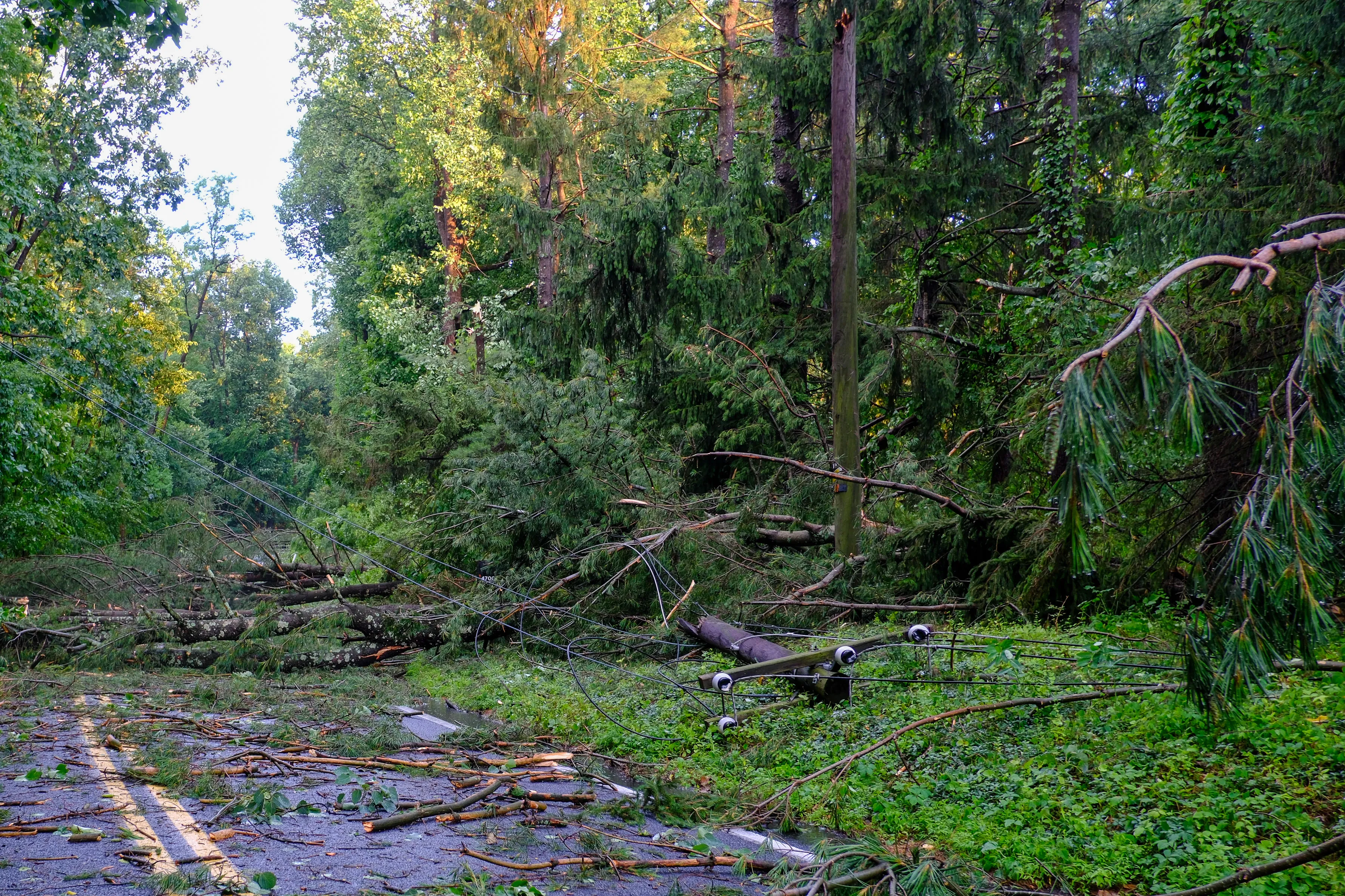 Damage from an early evening storm downed trees and sheared the top of a utility pole is seen here on Reservoir Hill on July 3, 2026, in Lower Macungie. (Sharon Merkel/Special to The Morning Call)