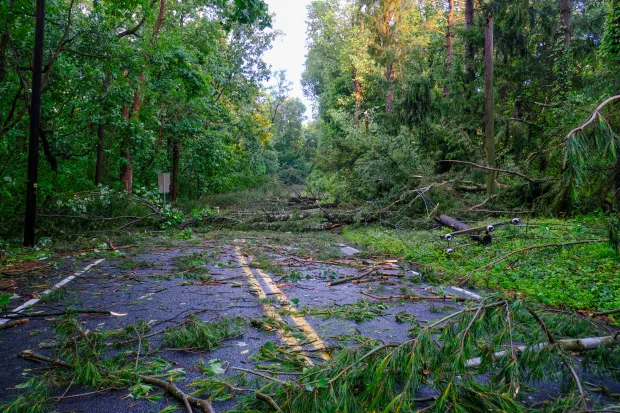 Damage from an early evening storm downed trees and sheared the top of a utility pole is seen here on Reservoir Hill on July 3, 2026, in Lower Macungie. (Sharon Merkel/Special to The Morning Call)