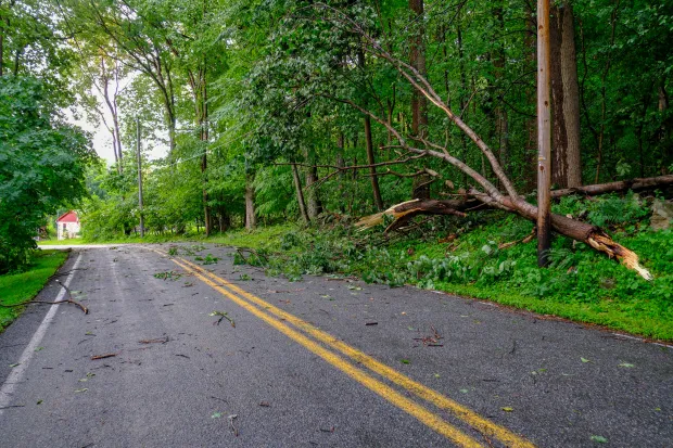 Damage from an early evening storm downed trees Mill Hill Road on July 3, 2026, in Lower Macungie. (Sharon Merkel/Special to The Morning Call)