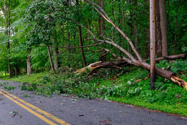 Damage from an early evening storm downed trees Mill Hill Road on July 3, 2026, in Lower Macungie. (Sharon Merkel/Special to The Morning Call)