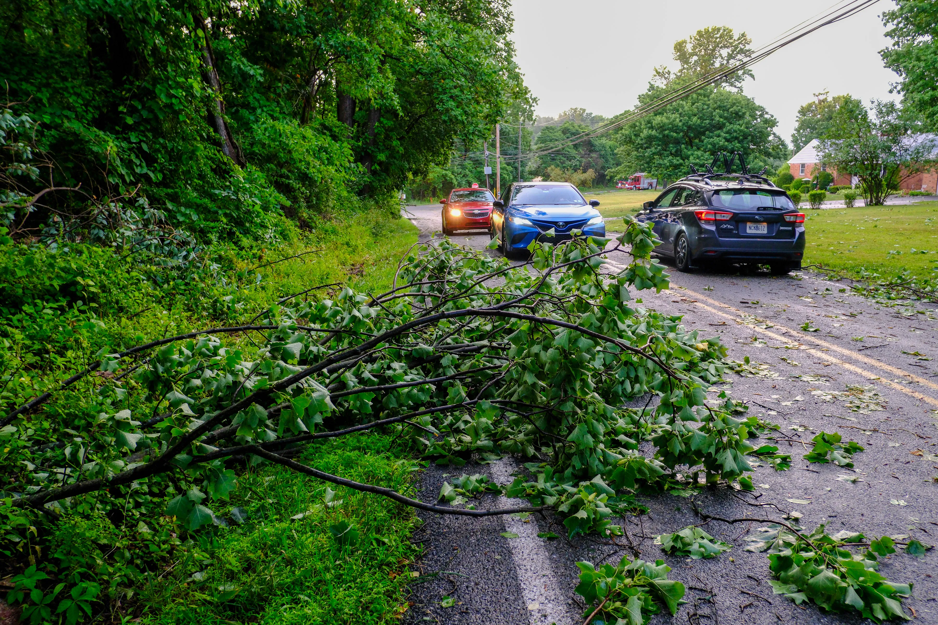 Traffic maneuvers around downed trees on Gun Club Road in Hereford Township on their way to Bear Creek Ski Area's 4th of July Celebration on July 3, 2026, in Lower Macungie. (Sharon Merkel/Special to The Morning Call)