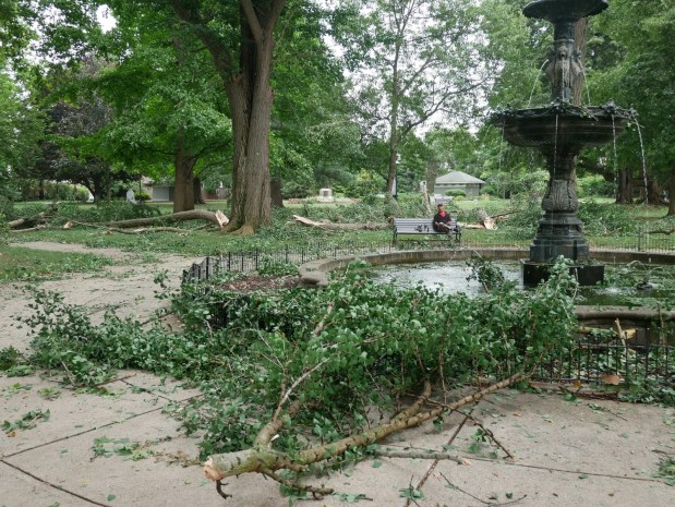 Downed trees line West Park in Allentown on Sunday, July 5, 2026, a day after severe storms caused damage in the area. (Adam Bond/West Park Civic Association)