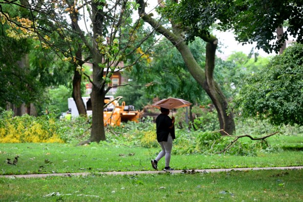 People walk around fallen trees and limbs blocking the sidewalks Monday, July 6, 2026, at West Park in Allentown.  Storms that hit the Lehigh Valley over the weekend caused damage in the park, as well as road closures and power outages throughout the region. (Monica Cabrera/The Morning Call)
