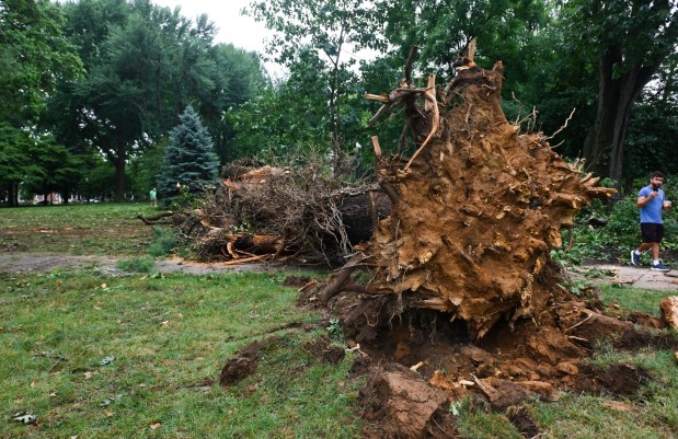 People walk around fallen trees and limbs blocking the sidewalks Monday, July 6, 2026, at West Park in Allentown.  Storms that hit the Lehigh Valley over the weekend caused damage in the park, as well as road closures and power outages throughout the region. (Monica Cabrera/The Morning Call)