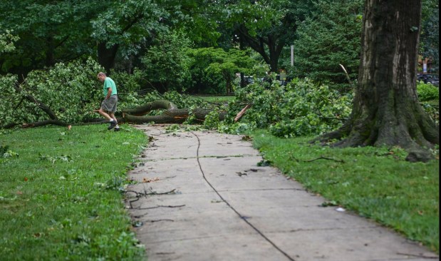 People walk around fallen trees and limbs blocking the sidewalks Monday, July 6, 2026, at West Park in Allentown.  Storms that hit the Lehigh Valley over the weekend caused damage in the park, as well as road closures and power outages throughout the region. (Monica Cabrera/The Morning Call)