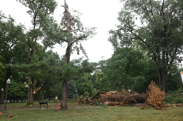 West Park in Allentown is a mess with fallen trees limbs and debris Monday, July 6, 2026, after storms hit the Lehigh Valley over the weekend. The storms also caused road closures and power outages throughout the region (Monica Cabrera/The Morning Call)