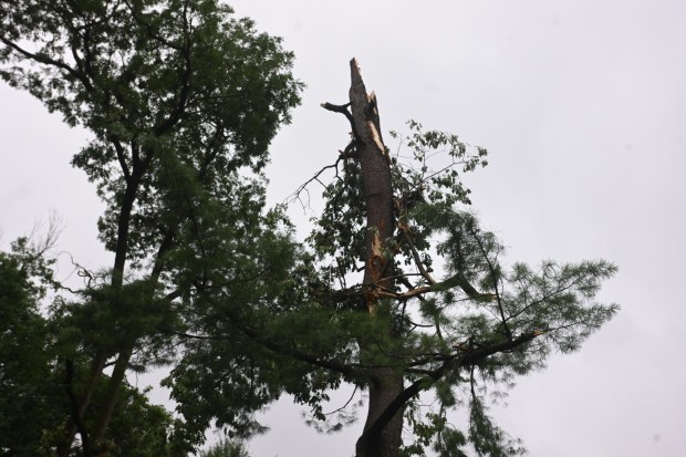 West Park in Allentown is a mess with fallen trees limbs and debris Monday, July 6, 2026, after storms hit the Lehigh Valley over the weekend. The storms also caused road closures and power outages throughout the region (Monica Cabrera/The Morning Call)
