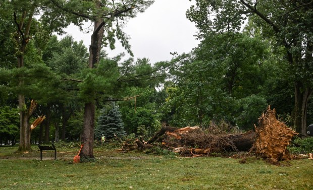West Park in Allentown is a mess with fallen trees limbs and debris Monday, July 6, 2026, after storms hit the Lehigh Valley over the weekend. The storms also caused road closures and power outages throughout the region (Monica Cabrera/The Morning Call)
