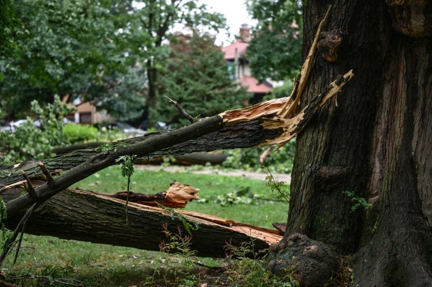 West Park in Allentown is a mess with fallen trees limbs and debris Monday, July 6, 2026, after storms hit the Lehigh Valley over the weekend. The storms also caused road closures and power outages throughout the region (Monica Cabrera/The Morning Call)