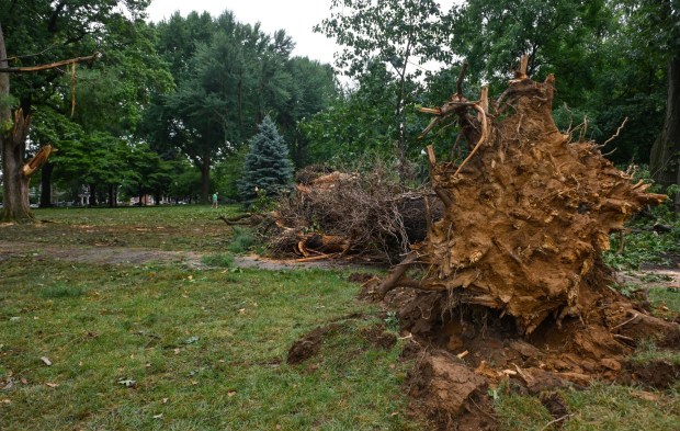 West Park in Allentown is a mess with fallen trees limbs and debris Monday, July 6, 2026, after storms hit the Lehigh Valley over the weekend. The storms also caused road closures and power outages throughout the region (Monica Cabrera/The Morning Call)