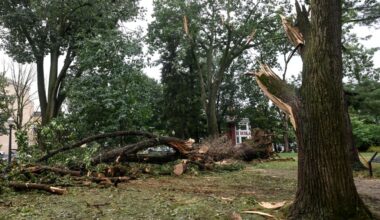 Cleanup at Allentown's West Park after storm damage ongoing