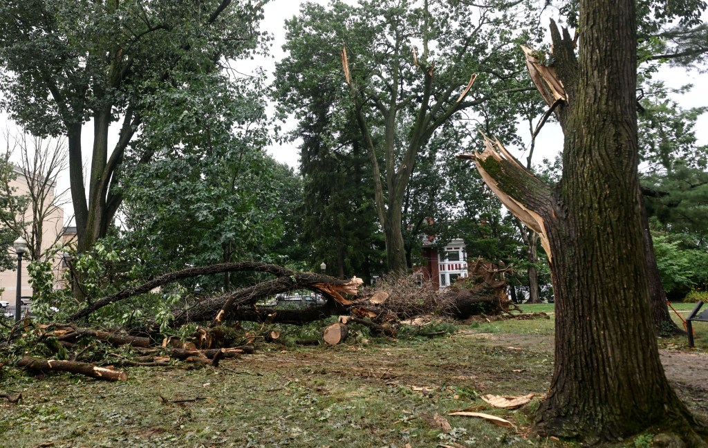 Cleanup at Allentown's West Park after storm damage ongoing
