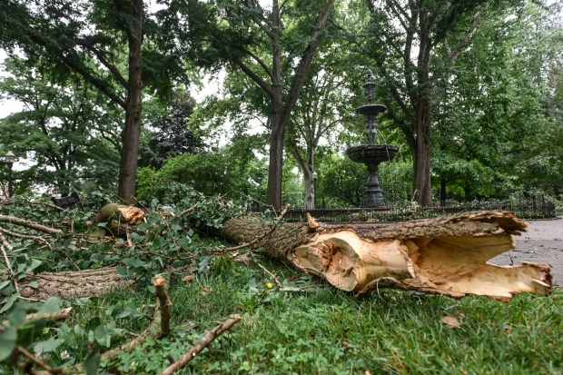 West Park in Allentown is a mess with fallen trees limbs and debris Monday, July 6, 2026, after storms hit the Lehigh Valley over the weekend. The storms also caused road closures and power outages throughout the region (Monica Cabrera/The Morning Call)