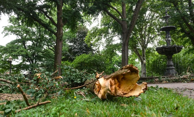 West Park in Allentown is a mess with fallen trees limbs and debris Monday, July 6, 2026, after storms hit the Lehigh Valley over the weekend. The storms also caused road closures and power outages throughout the region (Monica Cabrera/The Morning Call)