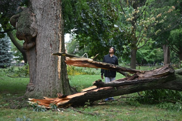 Jamie Foster of Allentown, walks around fallen trees and limbs blocking the sidewalks Monday, July 6, 2026, at West Park in Allentown.  Storms that hit the Lehigh Valley over the weekend caused damage in the park, as well as road closures and power outages throughout the region. (Monica Cabrera/The Morning Call)