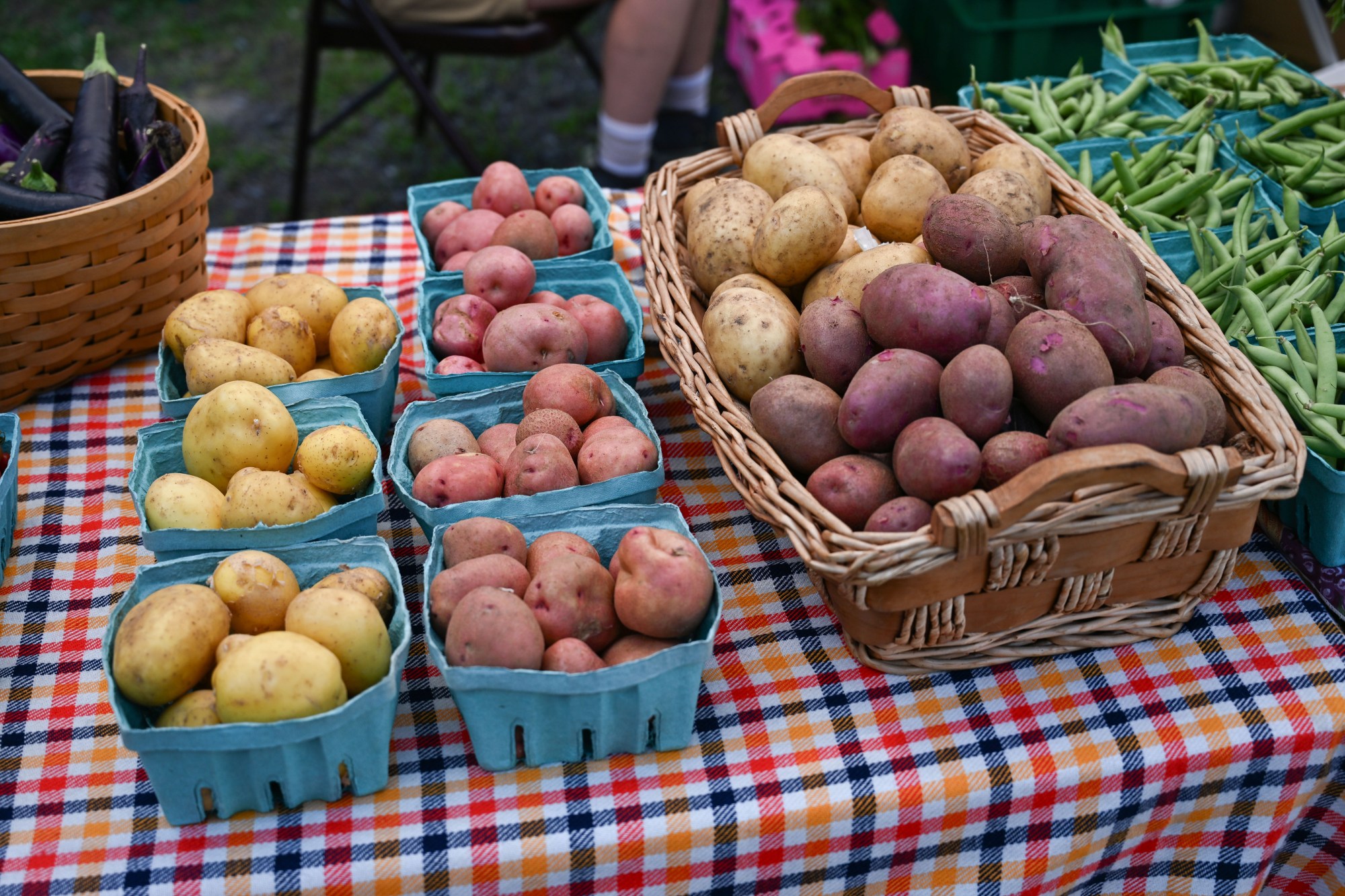 Produce from Easton Garden Works is laid out on tables for sale during the 20th Annual Zucchini 500 on Thursday, July 23, 2026 at the 10th & Pine street community garden in Easton. According to West Ward Community Initiative manager Jacob Behler, events like the 'Zuke 500' are meant to help foster new community connections and help people have affordable and local access to healthy produce. (Jon Chiu/The Morning Call)