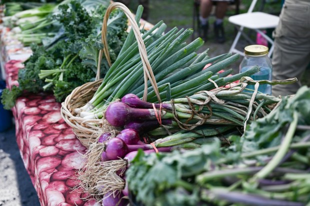 Produce from Easton Garden Works is laid out on tables for sale during the 20th Annual Zucchini 500 on Thursday, July 23, 2026 at the 10th & Pine street community garden in Easton. According to West Ward Community Initiative manager Jacob Behler, events like the 'Zuke 500' are meant to help foster new community connections and help people have affordable and local access to healthy produce. (Jon Chiu/The Morning Call)