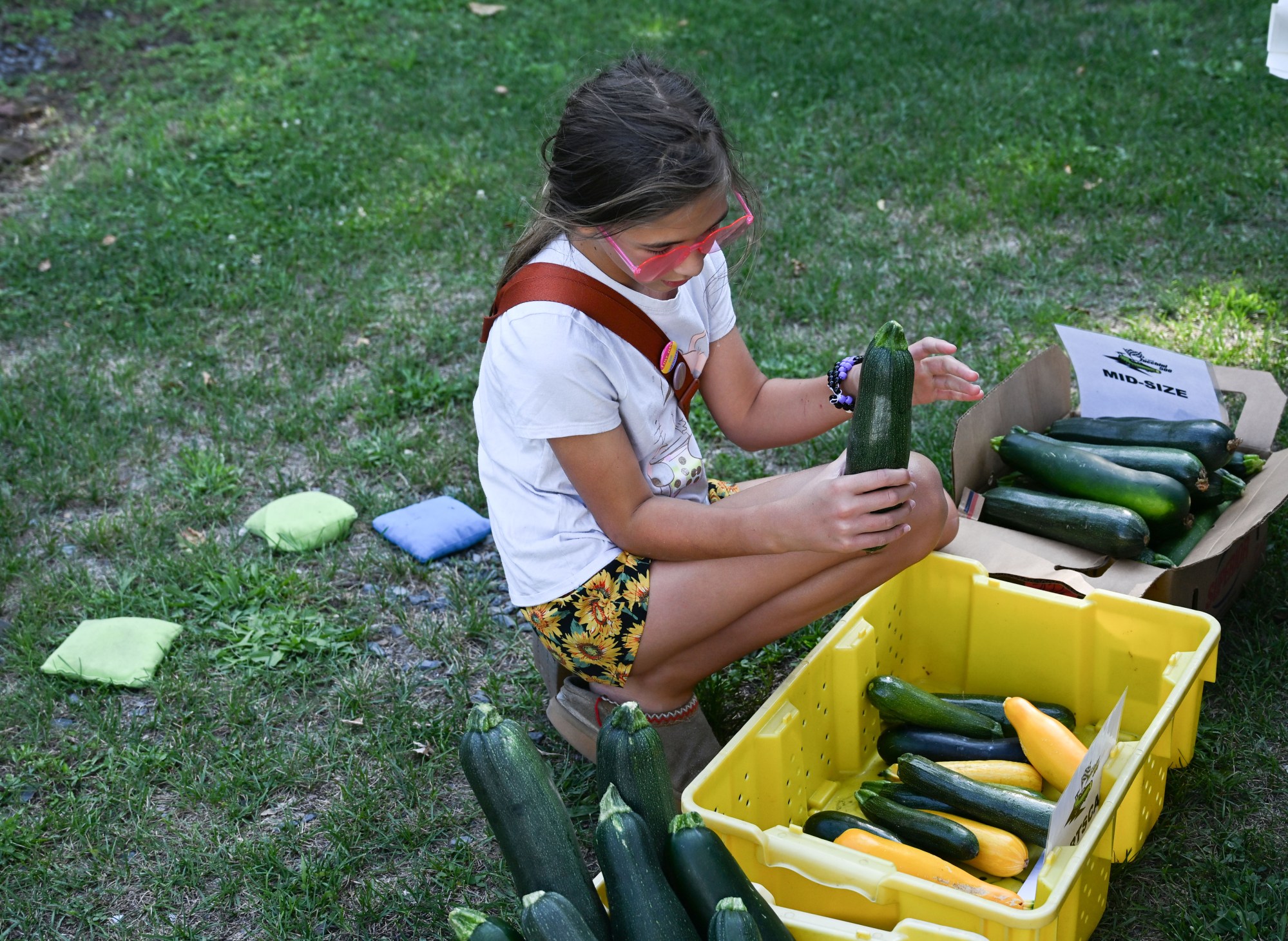 Anikka Schwartz, 10, of Easton inspects a zucchini during the 20th Annual Zucchini 500 on Thursday, July 23, 2026 at the 10th & Pine street community garden in Easton. According to West Ward Community Initiative manager Jacob Behler, events like the "Zuke 500" are meant to help foster new community connections and help people have affordable and local access to healthy produce. (Jon Chiu/The Morning Call)