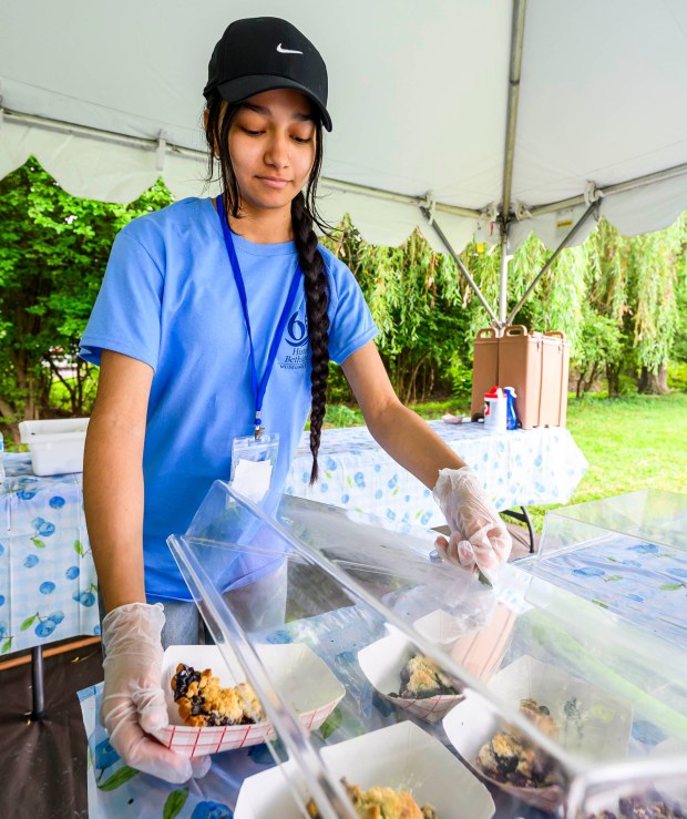 Volunteer Esmeralda Herrera, 15, of Allentown adds slices of blueberry pie to a display case on Saturday, July 18, 2026,  during Bethlehem Blueberry Festival, organized by Historic Bethlehem Museums & Sites at Burnside Plantation.  The festival offers Colonial demonstrations, activities, vendor tents, blueberry-themed foods and live music. (April Gamiz/The Morning Call)