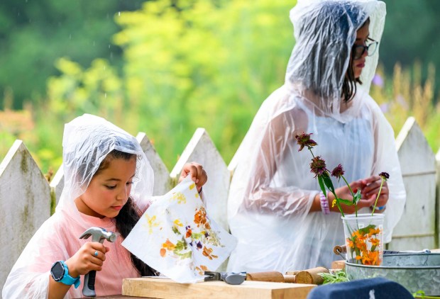 Wearing rain ponchos Seraphina, 6, and Luna, 11, make pressed flower book marks Saturday, July 18, 2026,  during Bethlehem Blueberry Festival, organized by Historic Bethlehem Museums & Sites at Burnside Plantation. The festival offers Colonial demonstrations, activities, vendor tents, blueberry-themed foods and live music. (April Gamiz/The Morning Call)