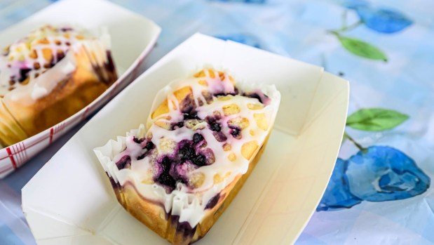 Gluten-Free Blueberry Lemon Mini Cakes are for sale at the dessert tent Saturday, July 18, 2026, during Bethlehem Blueberry Festival, organized by Historic Bethlehem Museums & Sites at Burnside Plantation. The festival offers Colonial demonstrations, activities, vendor tents, blueberry-themed foods and live music. (April Gamiz/The Morning Call)