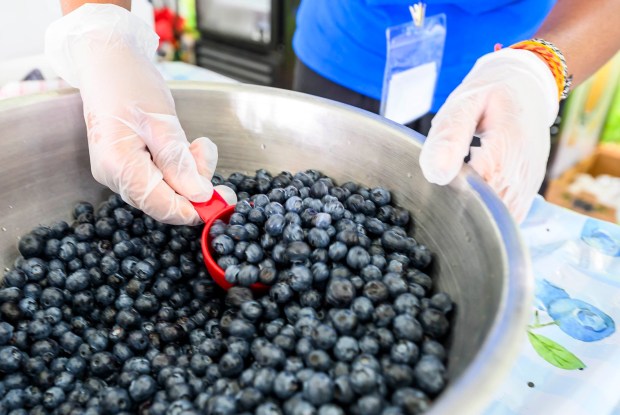 Volunteer Sharon Nimalan, 13, of Bethlehem mixes blueberries Saturday, July 18, 2026, during Bethlehem Blueberry Festival, organized by Historic Bethlehem Museums & Sites at Burnside Plantation. The festival offers Colonial demonstrations, activities, vendor tents, blueberry-themed foods and live music. (April Gamiz/The Morning Call)