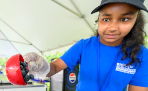 Volunteer Sharon Nimalan, 13, of Bethlehem mixes blueberries Saturday, July 18, 2026, during Bethlehem Blueberry Festival, organized by Historic Bethlehem Museums & Sites at Burnside Plantation. The festival offers Colonial demonstrations, activities, vendor tents, blueberry-themed foods and live music. (April Gamiz/The Morning Call)