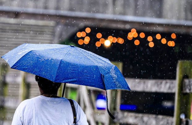 Despite the rain Saturday, July 18, 2026, people attend the Bethlehem Blueberry Festival, organized by Historic Bethlehem Museums & Sites at Burnside Plantation. The festival offers Colonial demonstrations, activities, vendor tents, blueberry-themed foods, and live music. (April Gamiz/The Morning Call)