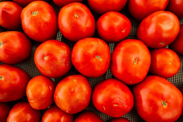 Red juicy tomatoes are for sale Tuesday, July 14, 2026, at Buzas' Greenhouse and Farm in Palmer Township. The family-owned business has been in operation for more than 75 years as a producing farm. (April Gamiz/The Morning Call)