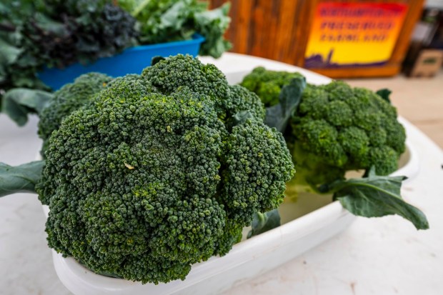 Fresh broccoli is for sale Tuesday, July 14, 2026, at Buzas' Greenhouse and Farm in Palmer Township. The family-owned business has been in operation for more than 75 years as a producing farm. (April Gamiz/The Morning Call)