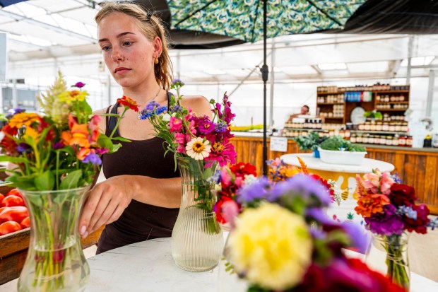 Employee Karly Strohl arranges floral bouquets Tuesday, July 14, 2026, at Buzas' Greenhouse and Farm in Palmer Township. In the coming weeks, the greenhouse will offer cut-your-own flowers. The family-owned business has been in operation for more than 75 years as a producing farm.(April Gamiz/The Morning Call)
