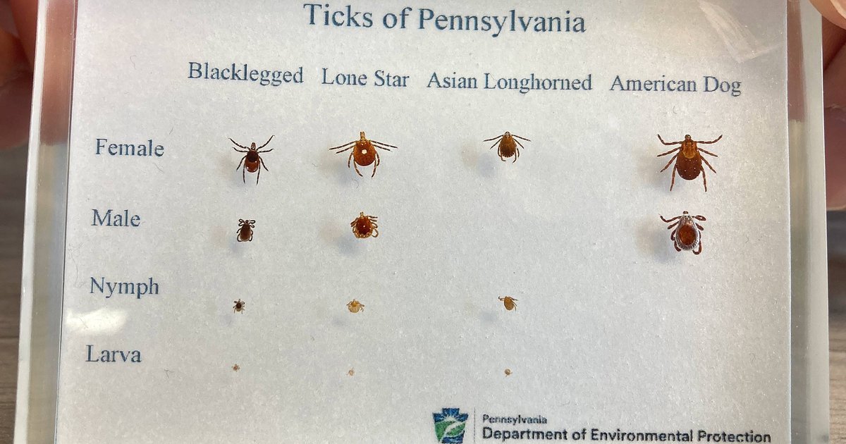 As tick season gets longer, Pa. and other states scramble to try to keep up