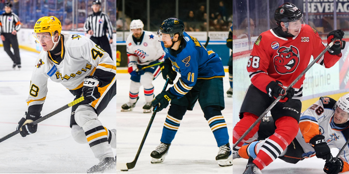 AHL: Wilkes-Barre/Scranton Penguins Re-Sign Rafael Harvey-Pinard & Sign Two