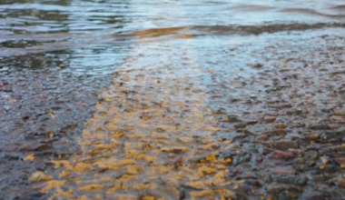 Roads close in Erie County, including Kelleys Island, during flash flood warning