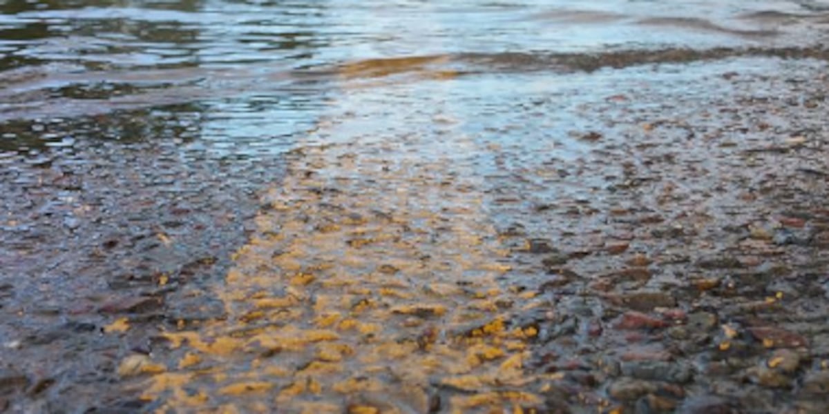 Roads close in Erie County, including Kelleys Island, during flash flood warning