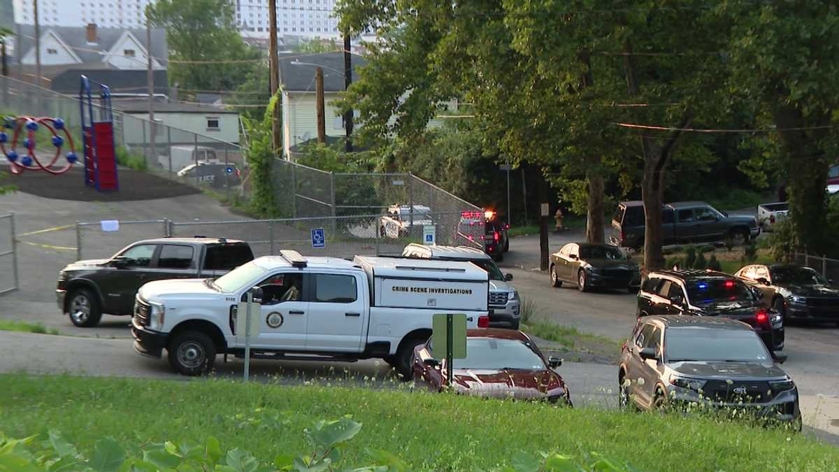 Pennsylvania playground shooting: 1 person killed in Homestead