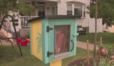Non-traditional little free libraries popping up across Pittsburgh area