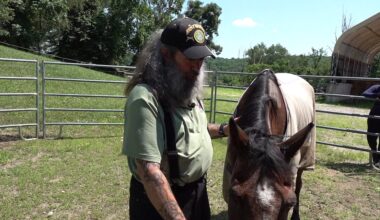 Equines for Freedom president shares his own journey to healing