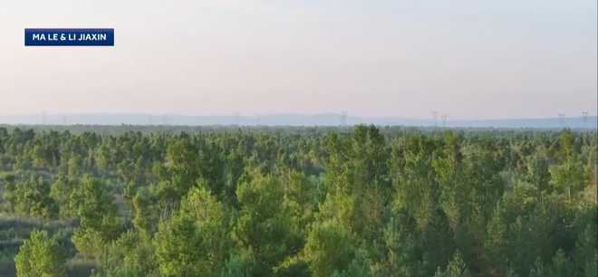 a retired teacher from plum, pennsylvania, is being recognized in china for a donation he made in 1999 that helped transform a desert in inner mongolia into a thriving forest. ﻿